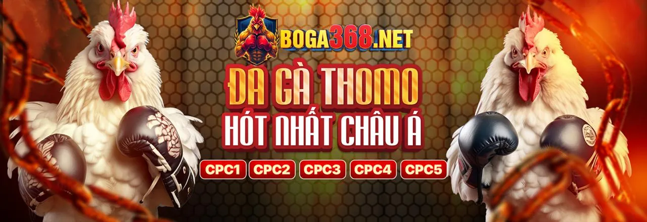 Cá cược thể thao slot888